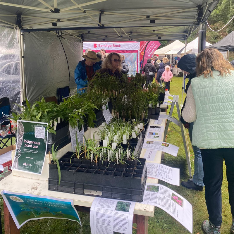 Blackwood Easter Carnival Stall