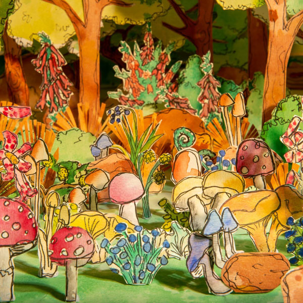 A watercolour photo of the plants & fungi found in the Blackwood area (Victoria, Australia)
