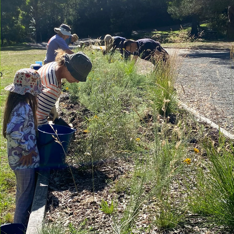 Maintaining a garden bed at Blackwood Mineral Springs