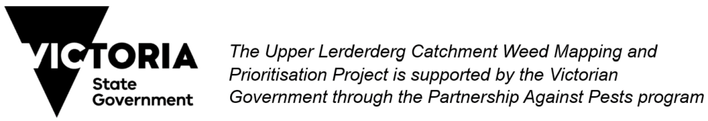 Victorian State Government support copy