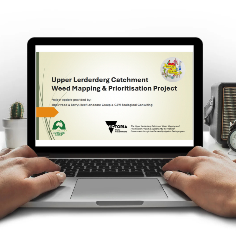 Upper Lerderderg Catchment Weed Mapping Project community information session and iNaturalist workshop presentation