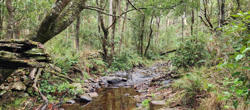 The weed management catchment area