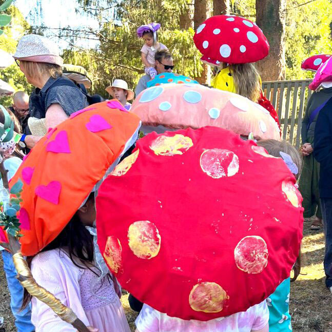 Fungi town was Landcare’s theme for the 2024 Blackwood Easter Carnival parade where fungi inspired costumes were colourful additions 